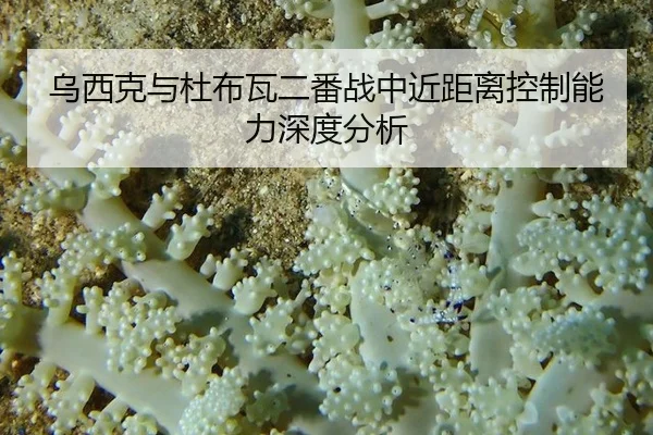 wu-xi-ke-yu-du-bu-wa-er-fan-zhan-zhong-jin-ju-li-kong-zhi-neng-li-shen-du-fen-xi-2-905.jpg